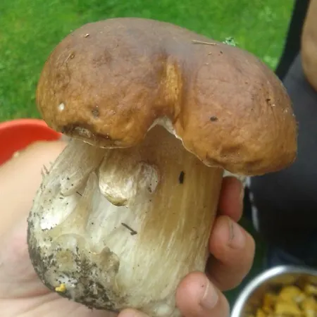 Kamenny Dvur بيت ضيافة *